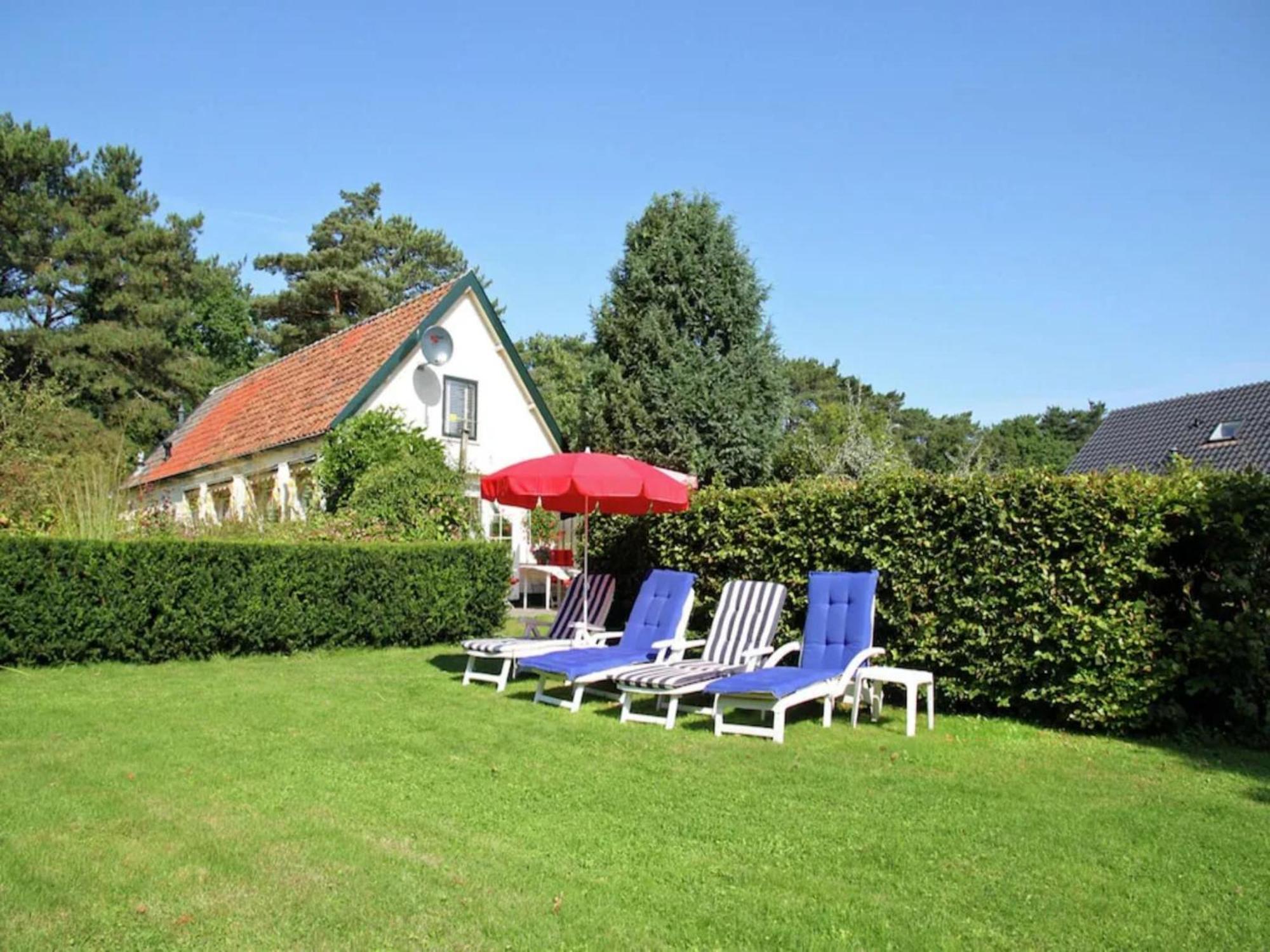 Bonte Specht Villa Schoorl Kültér fotó