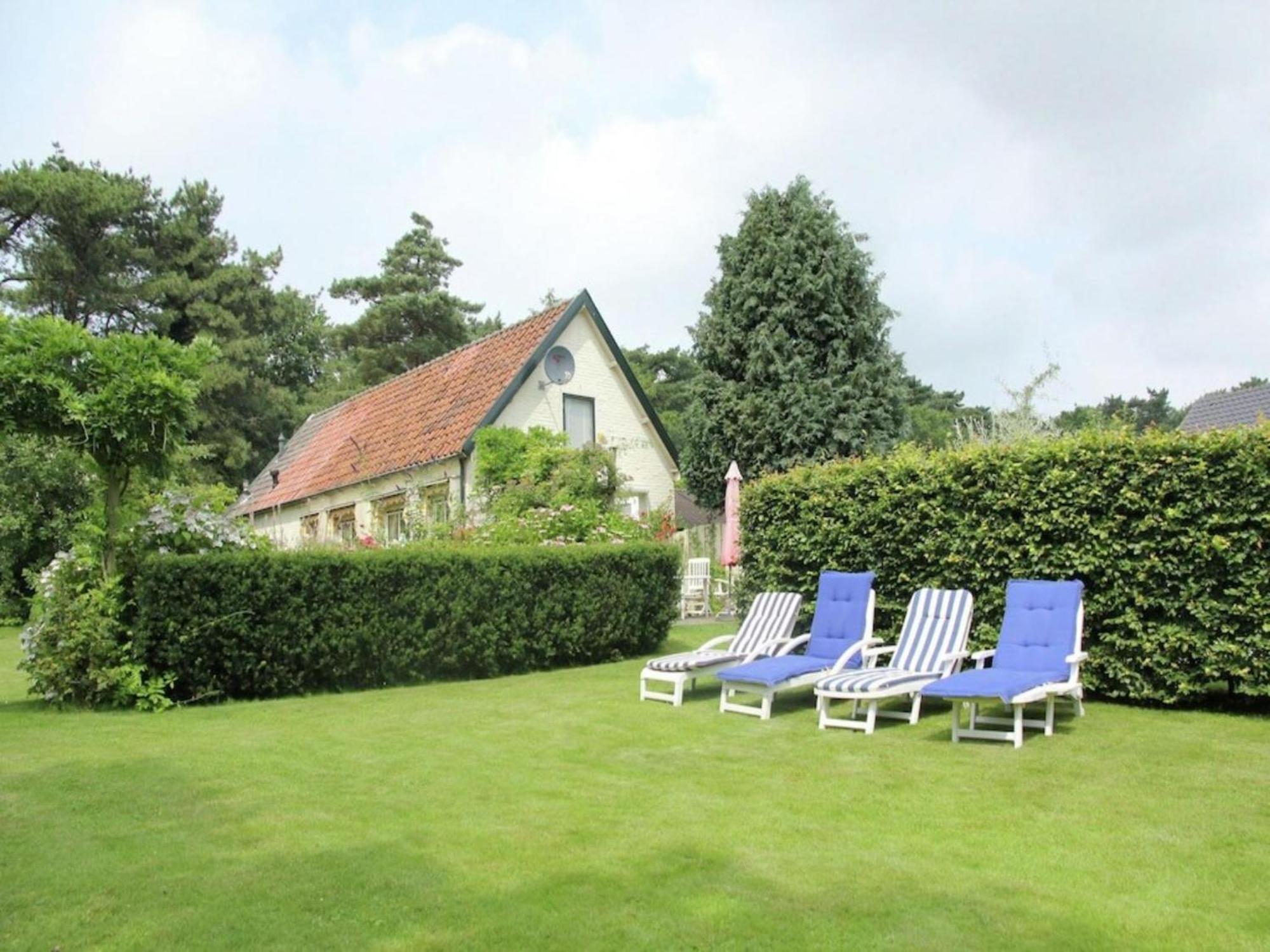 Bonte Specht Villa Schoorl Kültér fotó